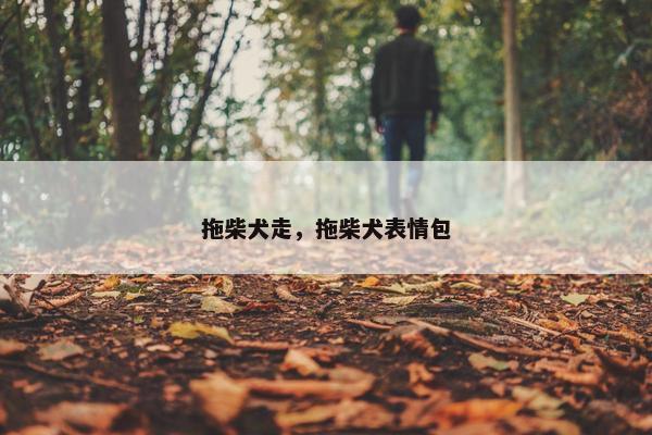 拖柴犬走，拖柴犬表情包
