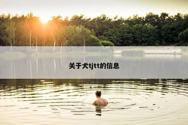 关于犬tjtt的信息 关于犬tjtt的信息