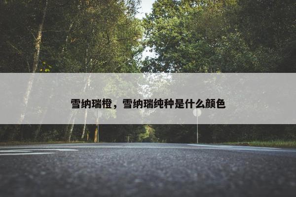 雪纳瑞橙，雪纳瑞纯种是什么颜色
