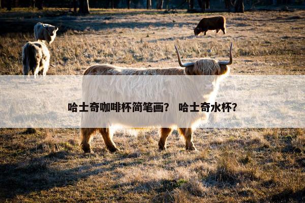 哈士奇咖啡杯简笔画？ 哈士奇水杯？