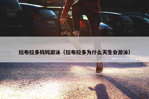 拉布拉多妈妈游泳（拉布拉多为什么天生会游泳）