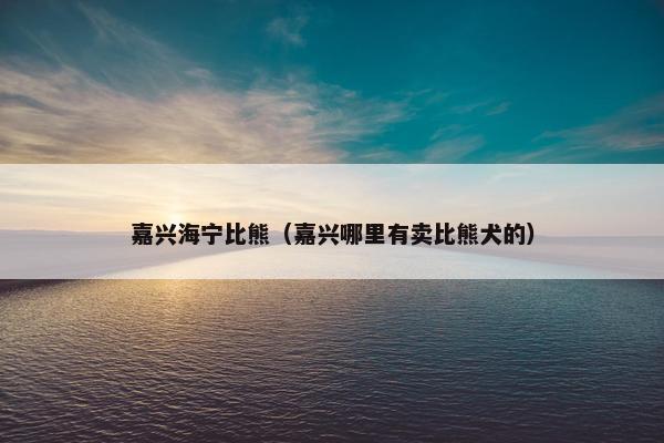 嘉兴海宁比熊（嘉兴哪里有卖比熊犬的）