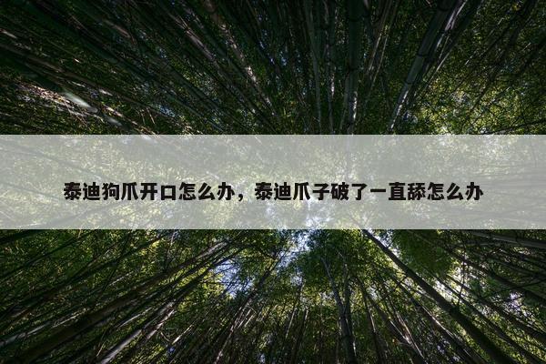 泰迪狗爪开口怎么办，泰迪爪子破了一直舔怎么办
