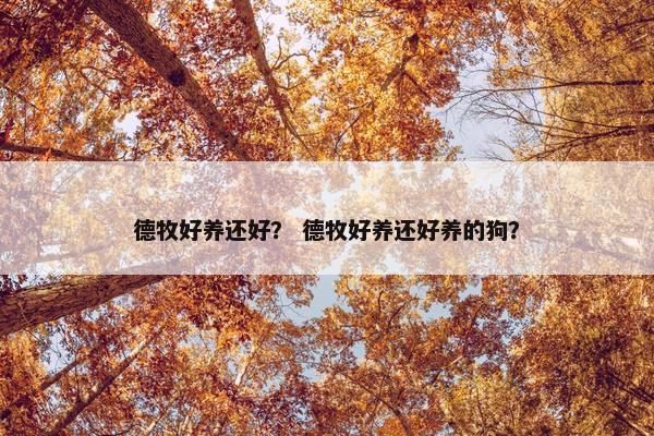 德牧好养还好？ 德牧好养还好养的狗？