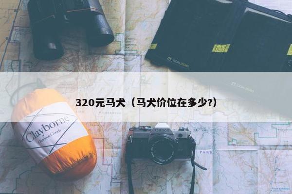 320元马犬（马犬价位在多少?）