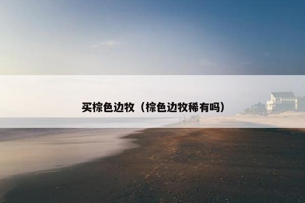 买棕色边牧（棕色边牧稀有吗）