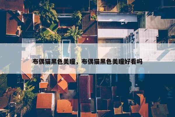 布偶猫黑色美瞳，布偶猫黑色美瞳好看吗