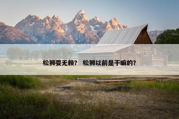 松狮耍无赖？ 松狮以前是干嘛的？