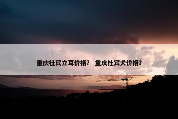 重庆杜宾立耳价格？ 重庆杜宾犬价格？