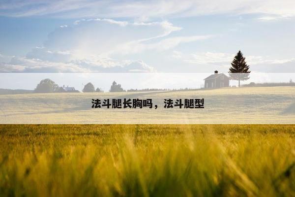 法斗腿长胸吗，法斗腿型