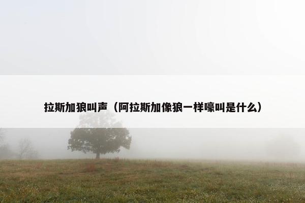 拉斯加狼叫声（阿拉斯加像狼一样嚎叫是什么）