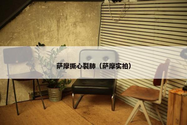 萨摩撕心裂肺（萨摩实拍）