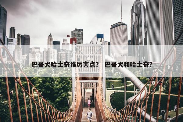 巴哥犬哈士奇谁厉害点？ 巴哥犬和哈士奇？