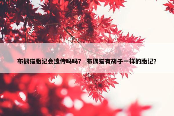 布偶猫胎记会遗传吗吗？ 布偶猫有胡子一样的胎记？