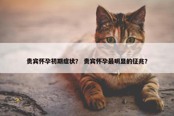 贵宾怀孕初期症状？ 贵宾怀孕最明显的征兆？
