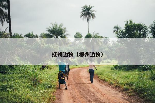 抚州边牧（郴州边牧）