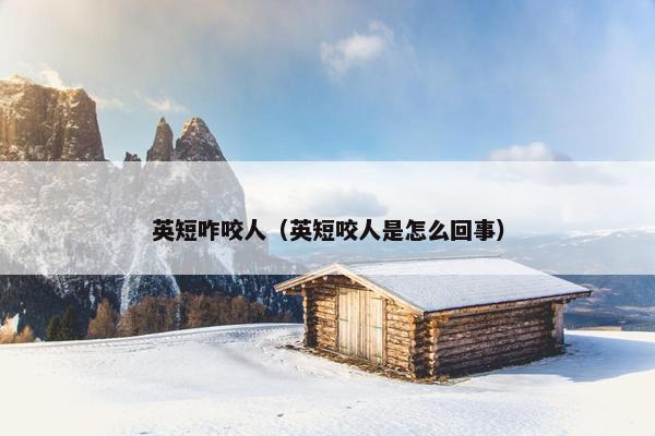 英短咋咬人（英短咬人是怎么回事）