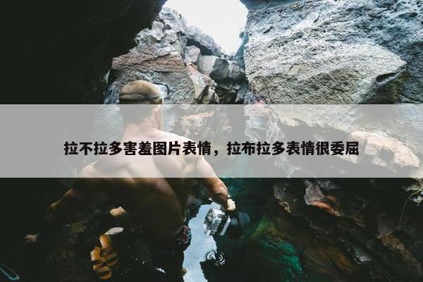 拉不拉多害羞图片表情，拉布拉多表情很委屈