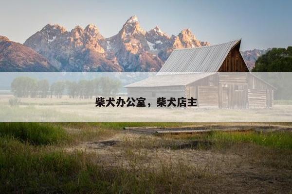 柴犬办公室，柴犬店主