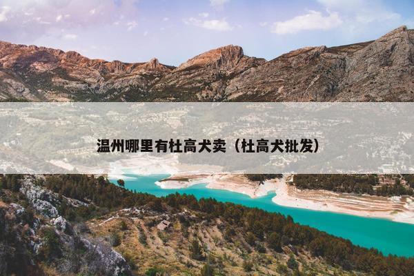 温州哪里有杜高犬卖（杜高犬批发）