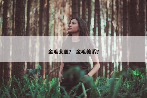金毛太美？ 金毛美系？