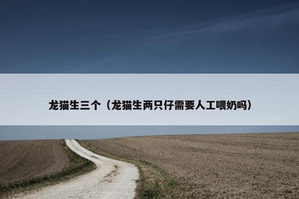 龙猫生三个（龙猫生两只仔需要人工喂奶吗）