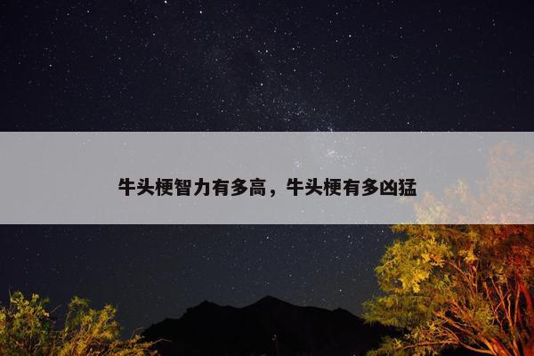 牛头梗智力有多高，牛头梗有多凶猛