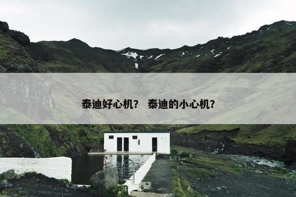 泰迪好心机？ 泰迪的小心机？
