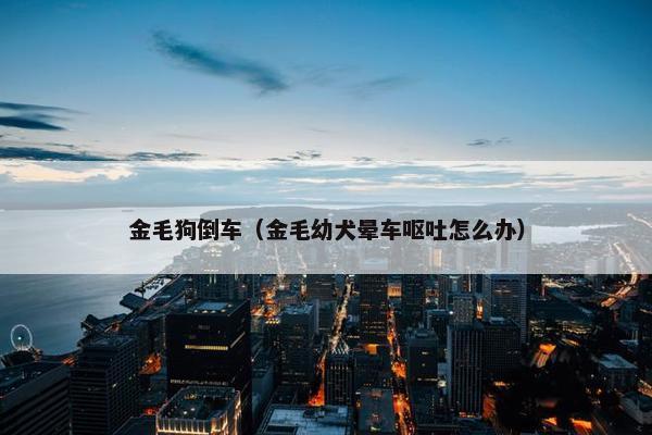金毛狗倒车（金毛幼犬晕车呕吐怎么办）