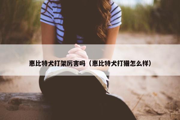 惠比特犬打架厉害吗（惠比特犬打猎怎么样）