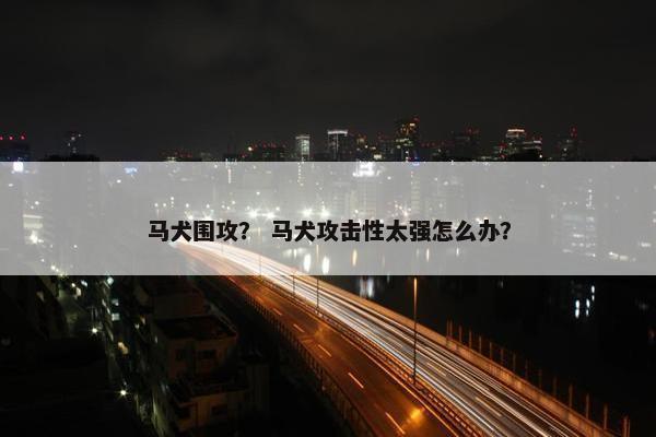 马犬围攻？ 马犬攻击性太强怎么办？
