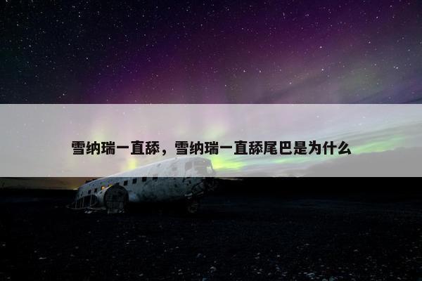 雪纳瑞一直舔，雪纳瑞一直舔尾巴是为什么