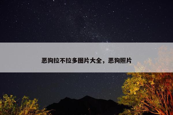恶狗拉不拉多图片大全，恶狗照片