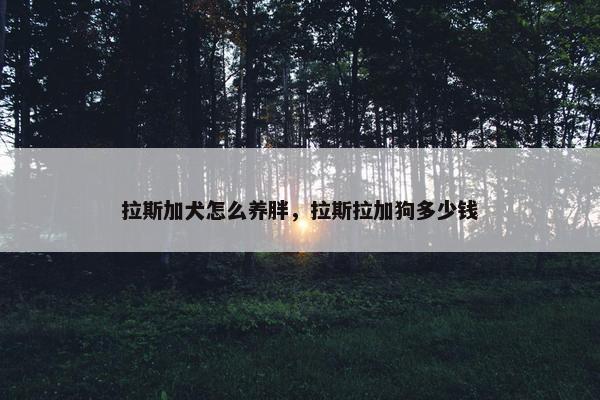 拉斯加犬怎么养胖，拉斯拉加狗多少钱