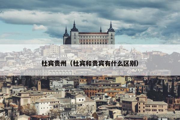 杜宾贵州（杜宾和贵宾有什么区别）