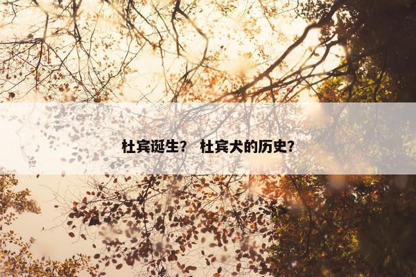 杜宾诞生？ 杜宾犬的历史？