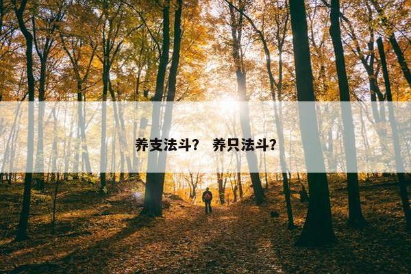 养支法斗？ 养只法斗？