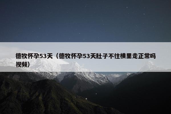 德牧怀孕53天（德牧怀孕53天肚子不往横里走正常吗视频）
