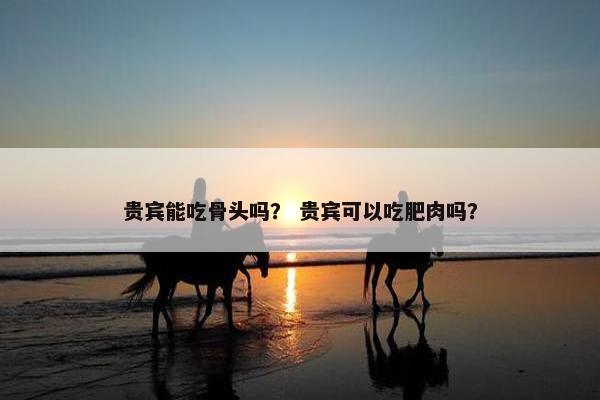 贵宾能吃骨头吗？ 贵宾可以吃肥肉吗？