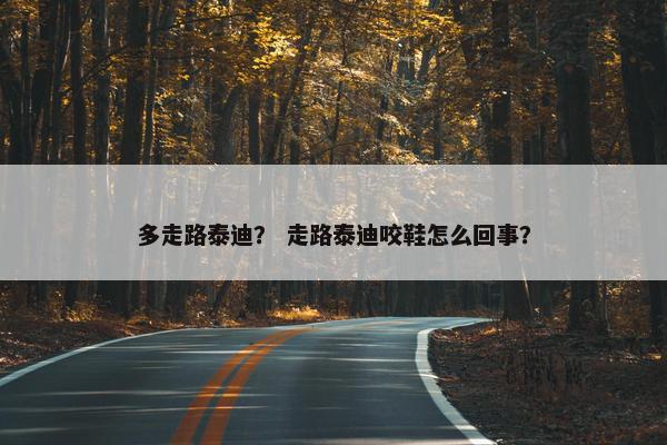 多走路泰迪？ 走路泰迪咬鞋怎么回事？