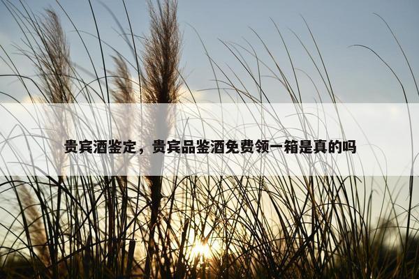 贵宾酒鉴定，贵宾品鉴酒免费领一箱是真的吗