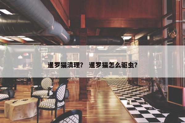 暹罗猫清理？ 暹罗猫怎么驱虫？