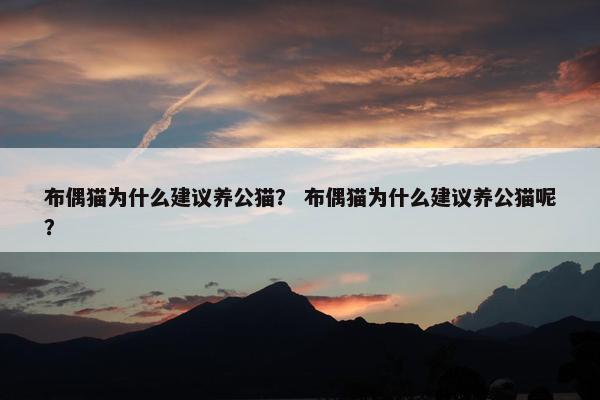 布偶猫为什么建议养公猫？ 布偶猫为什么建议养公猫呢？