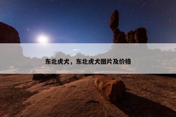 东北虎犬，东北虎犬图片及价格