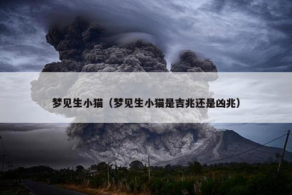 梦见生小猫（梦见生小猫是吉兆还是凶兆）