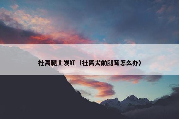 杜高腿上发红（杜高犬前腿弯怎么办）