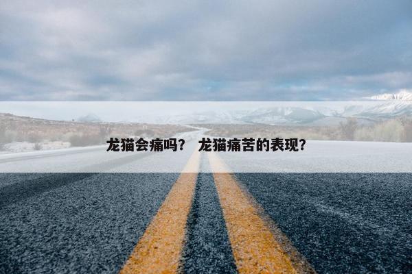 龙猫会痛吗？ 龙猫痛苦的表现？