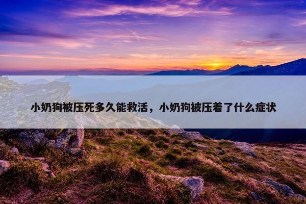 小奶狗被压死多久能救活，小奶狗被压着了什么症状