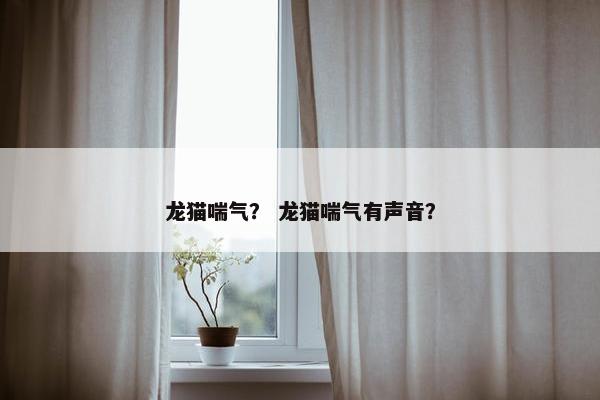 龙猫喘气？ 龙猫喘气有声音？