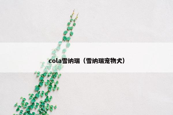 cola雪纳瑞（雪纳瑞宠物犬）